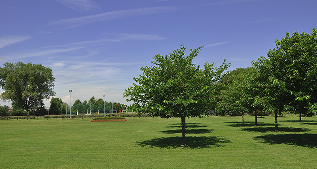 Picnic e Area Verde